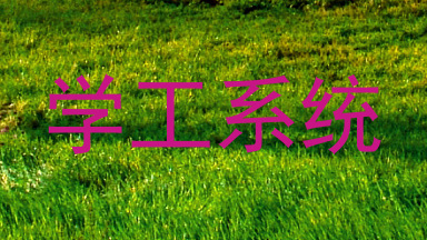学工系统