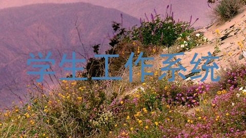 学生工作系统