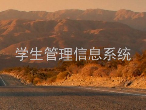 学生管理信息系统