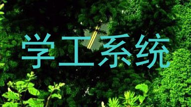 学工系统