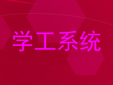 学工系统