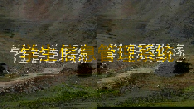 学生信息管理系统