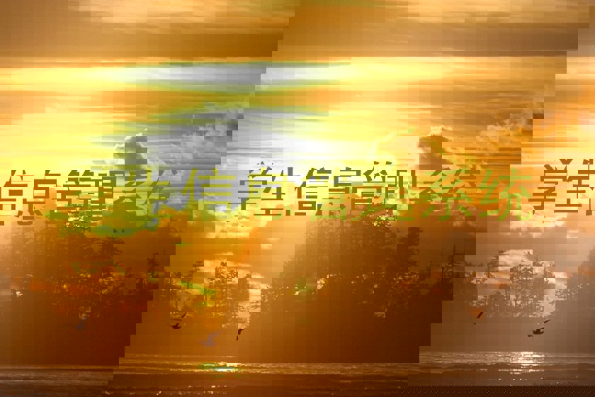 学生信息管理系统