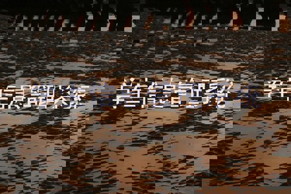 学生信息管理系统