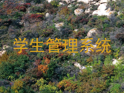 学生管理系统