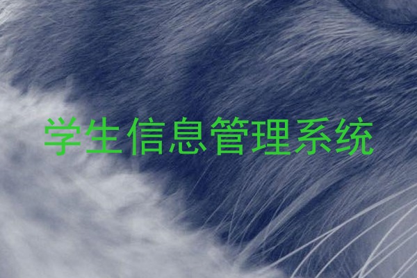 学生信息管理系统