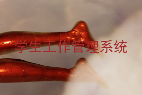 学生工作管理系统