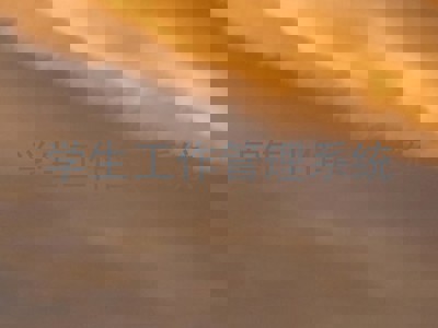 学生工作管理系统