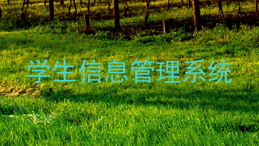 学生信息管理系统