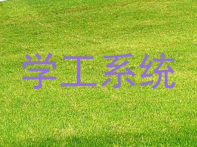 学工系统
