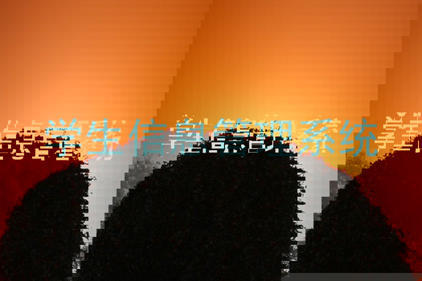 学生信息管理系统