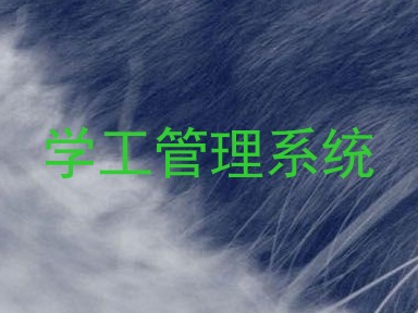 学工管理系统