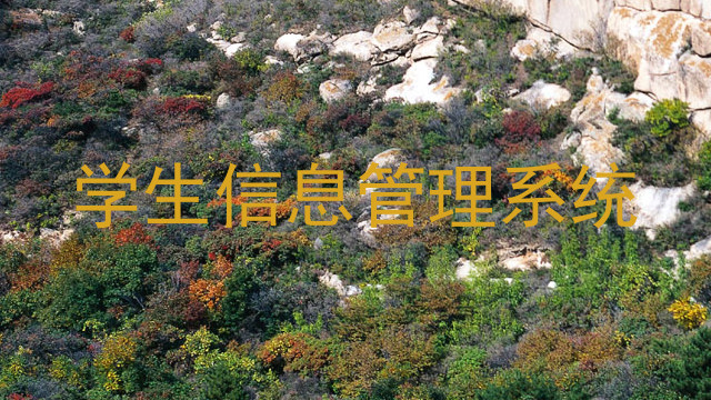 学生管理信息系统