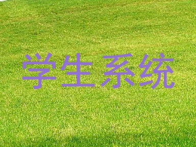 学生系统