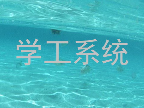 学工系统