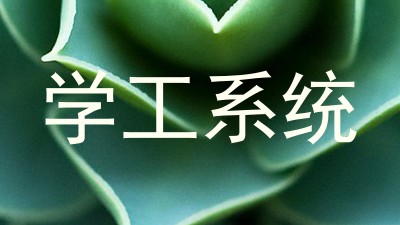 学工系统