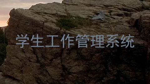 学生工作管理系统