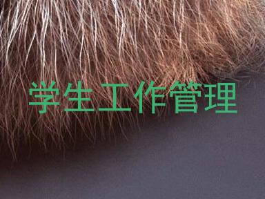 学生工作管理