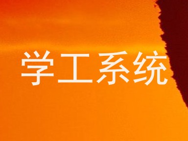 学工系统