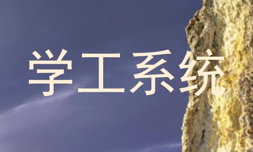 学工系统