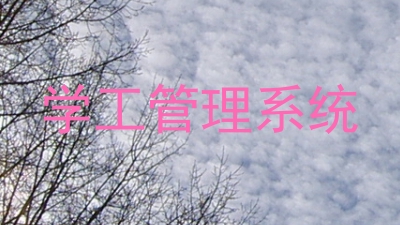 学工管理系统