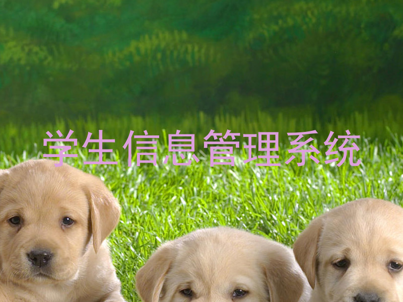 学生信息管理系统