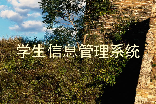 学生信息管理系统
