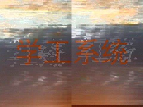 学工系统