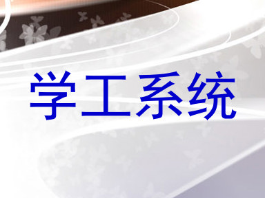 学工系统