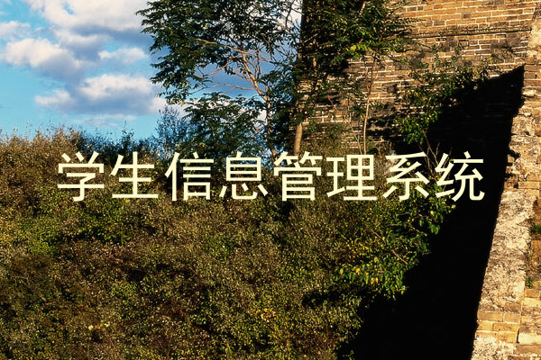学生信息管理系统