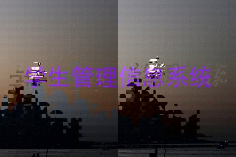 学生管理信息系统