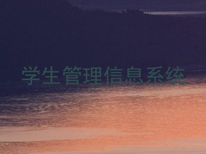 学生管理信息系统