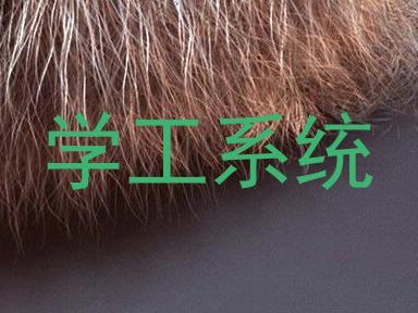 学工系统