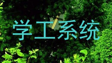 学工系统