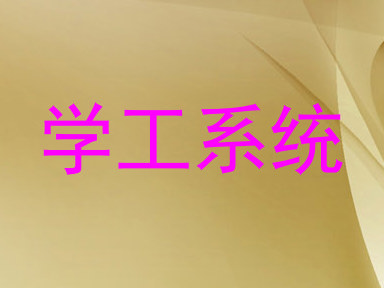 学工系统