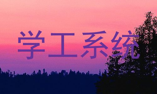 学工系统