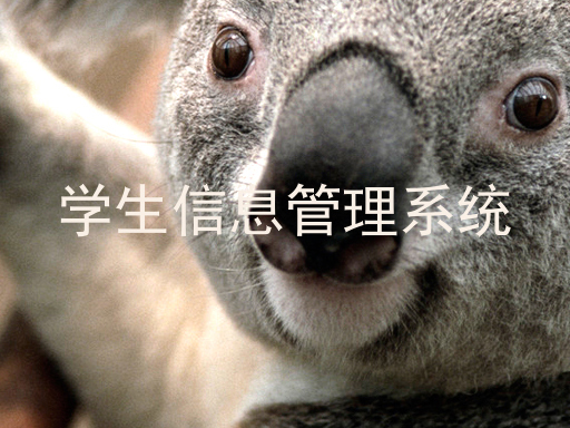 学生信息管理系统