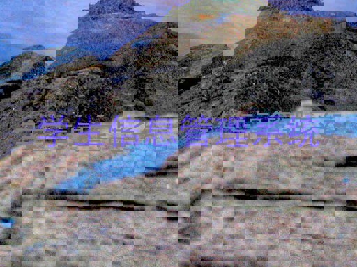 学生信息管理系统