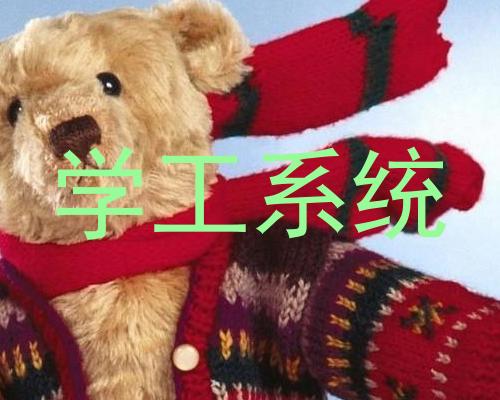 学工系统