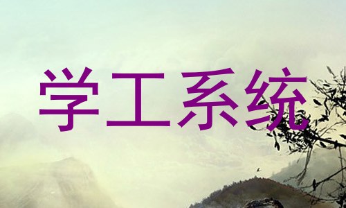 学工系统