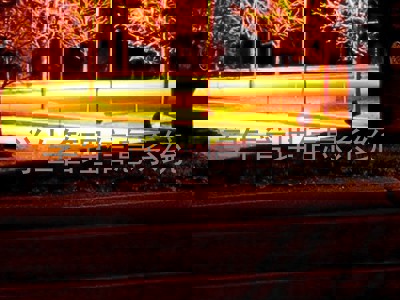 学生管理信息系统