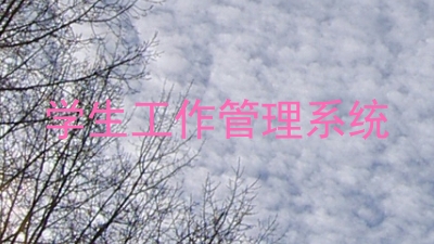 学生工作管理系统