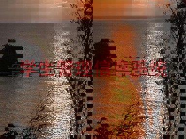 学生管理信息系统