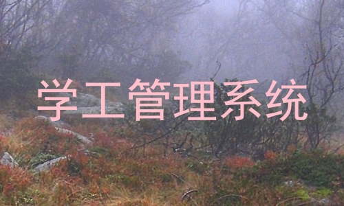 学工管理系统