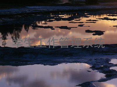 学生工作管理系统