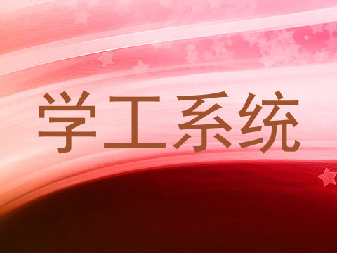 学工系统