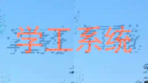 学工系统