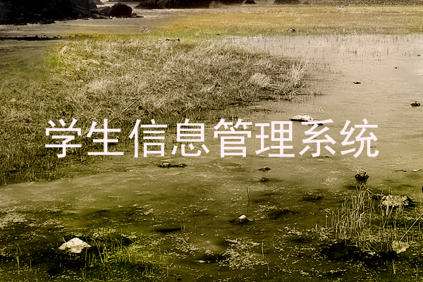 学生信息管理系统