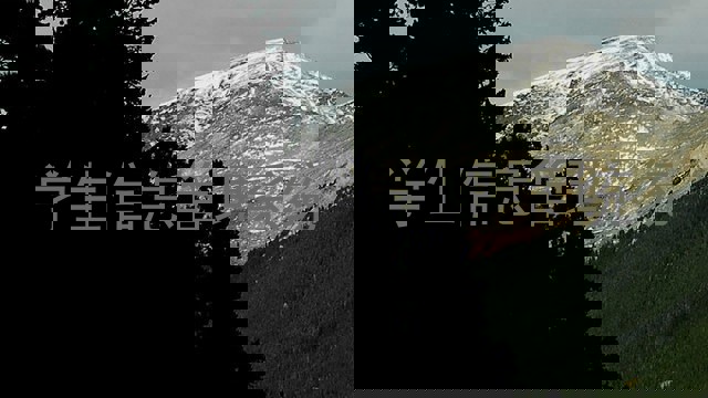 学生信息管理系统