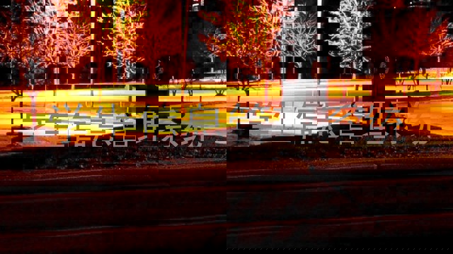 学生信息管理系统